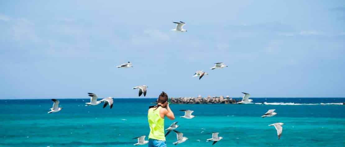 man-taking-photo-of-seagull-over-turquoise-ocean-water