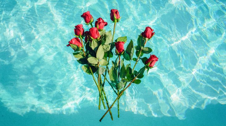 red-roses-floating-clear-blue-water