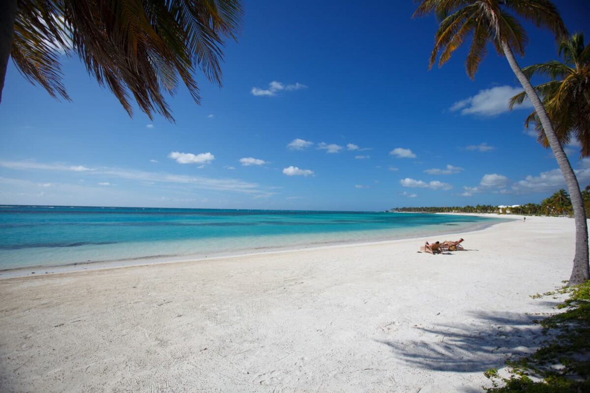white-sand-beach-palm-tree-hanging-into-image-punta-cana