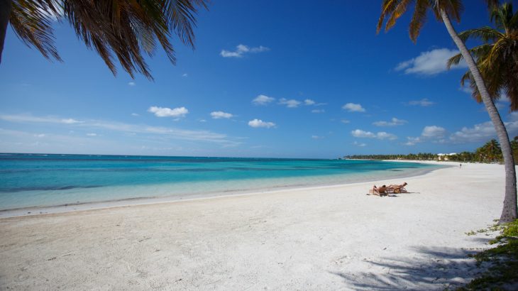 white-sand-beach-palm-tree-hanging-into-image-punta-cana