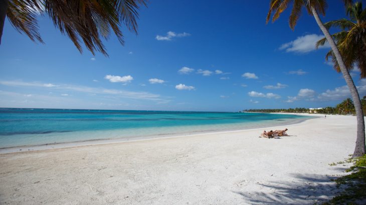 white-sand-beach-palm-tree-hanging-into-image-punta-cana