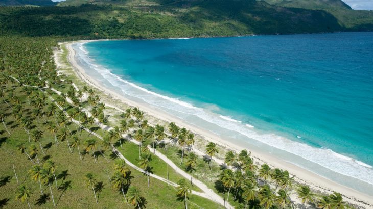 aerial-view-rincon-beach-green-palm-trees-turquoise-water