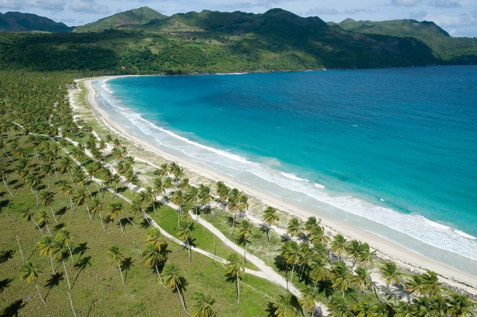 aerial-view-rincon-beach-green-palm-trees-turquoise-water
