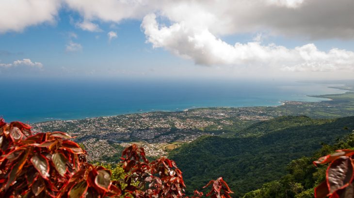 view-from-mountain-dominican-republic-red-leaves-ocean