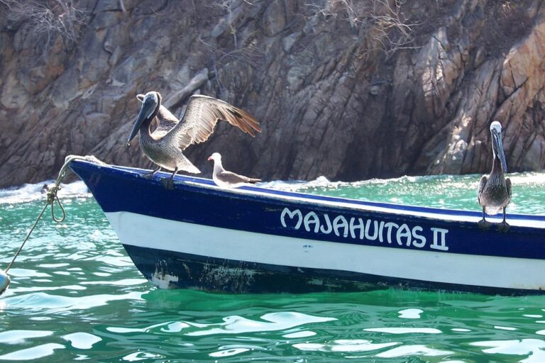 visit-yelapa-on-vacation-puerto-vallarta