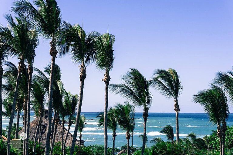 punta-mita-mexico-beach-puerto-vallarta-beach-day-trips