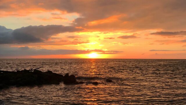 5 Things You Didn’t Know About Puerto Vallarta