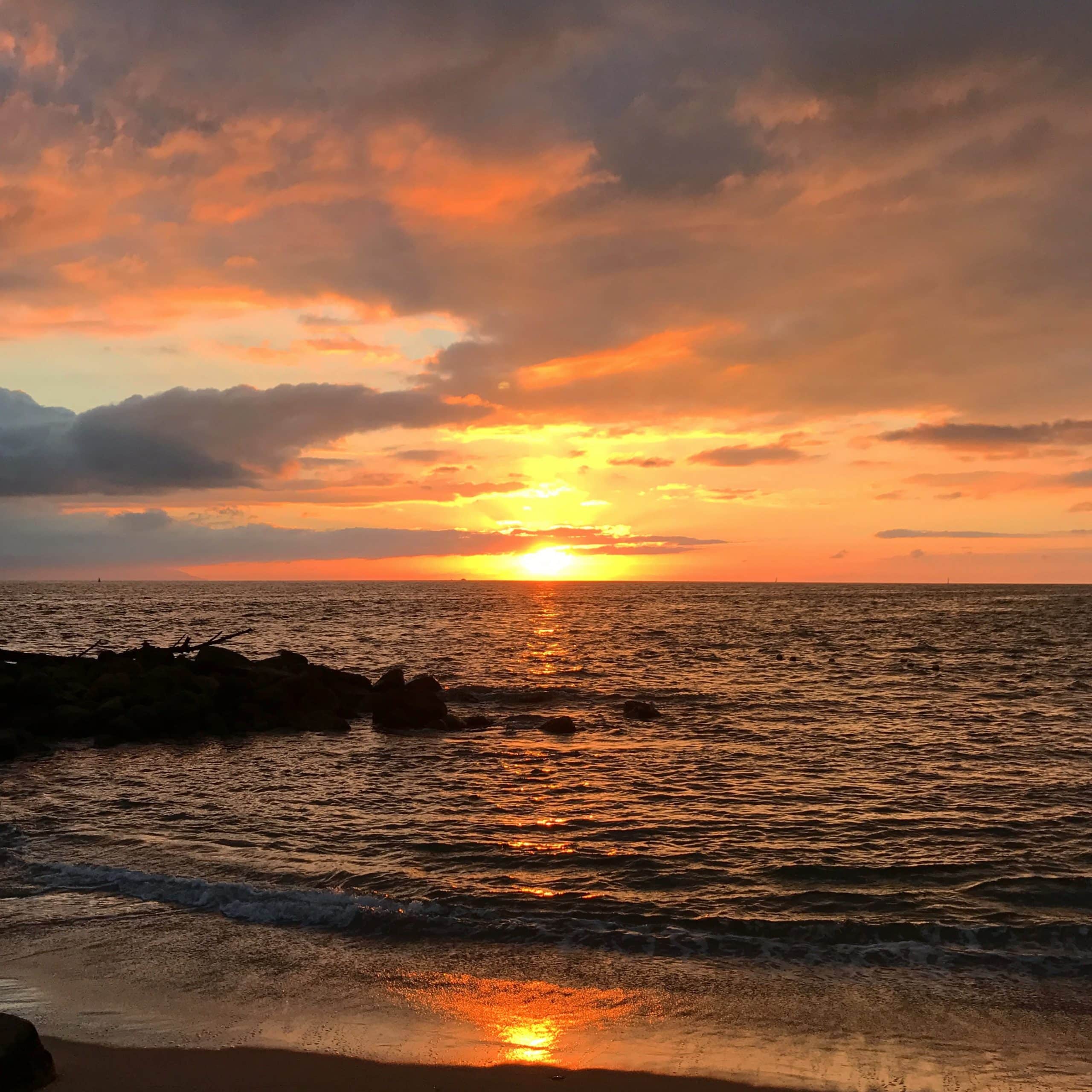 5 Things You Didn’t Know About Puerto Vallarta