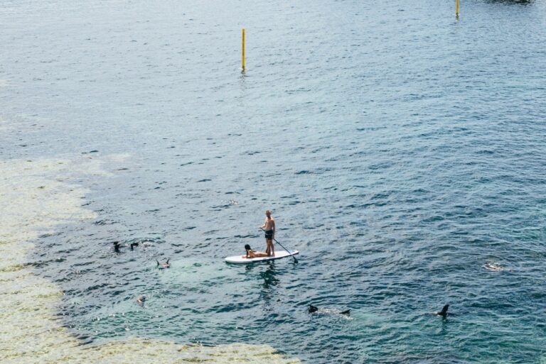 go-paddleboarding-as-family-on-vacation-in-cayman-islands