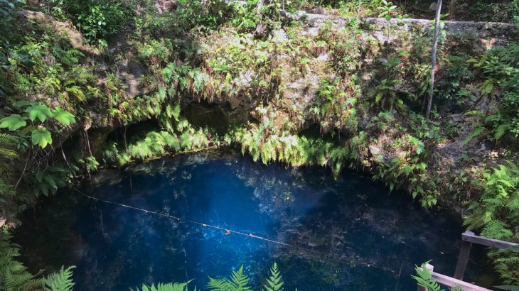 cenote-learn-freediving-playa-del-carmen-mexico