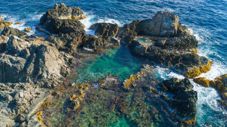 Wild & Wonder: Exploring Aruba's Arikok National Park