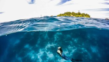 learn-to-freedive-in-playa-del-carmen-mexico