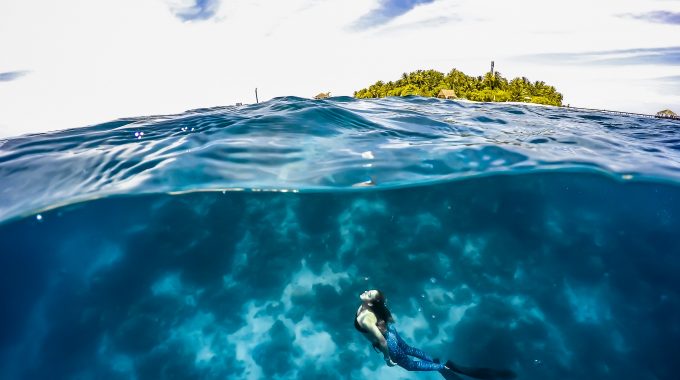 learn-to-freedive-in-playa-del-carmen-mexico