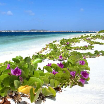 The Secret Island in the Caribbean That Just Got Discovered