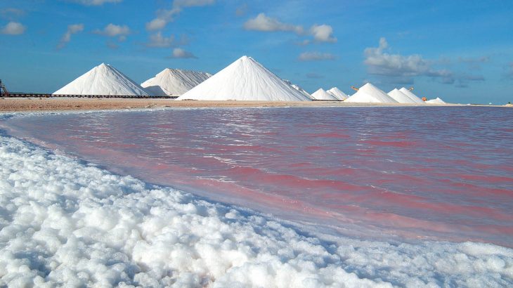 Mounds of white salt along a beach with pink water