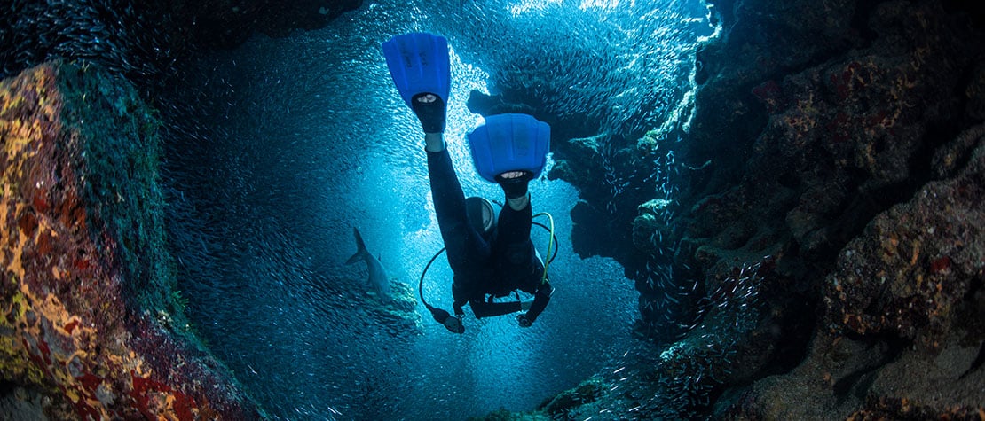 Cayman Diving