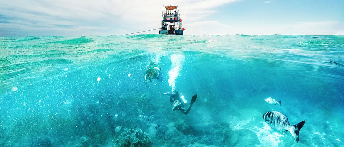 cozumel snorkel