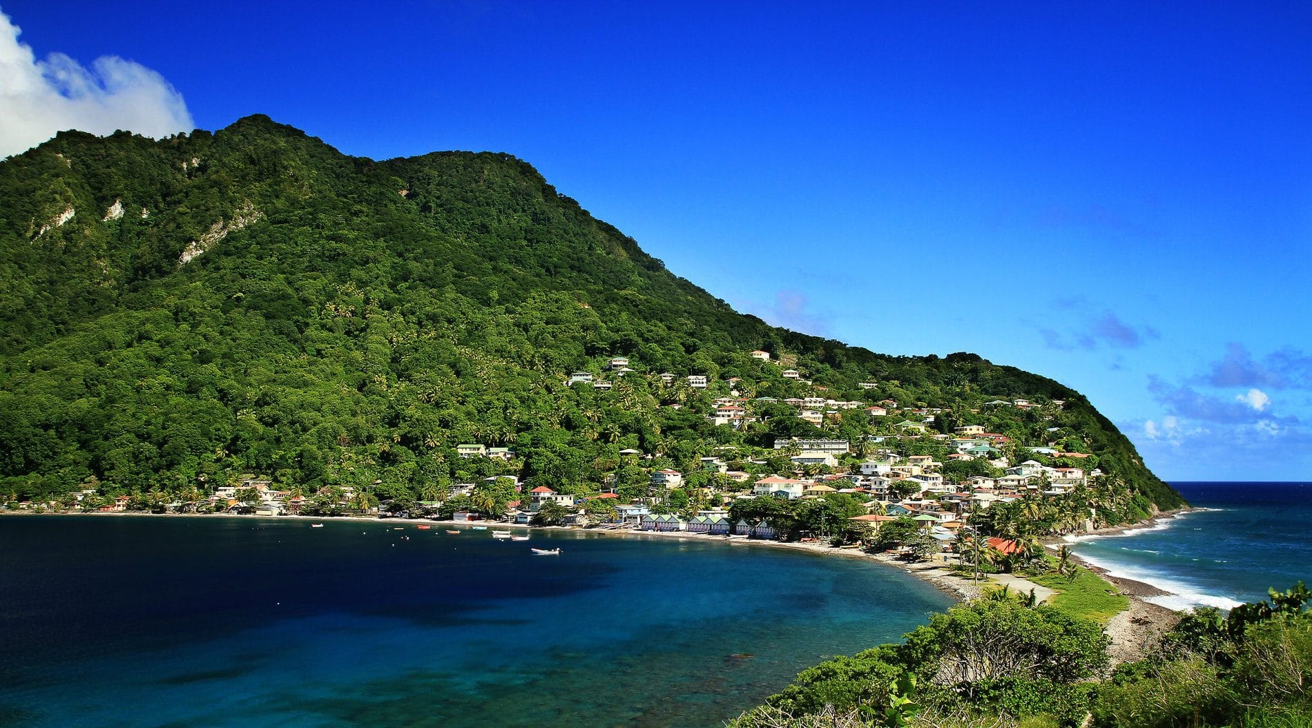 dominica official tourism website