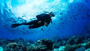 scuba-dive-7000-foot-deep-wall-grand-turk-caribbean