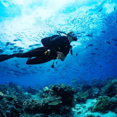 Dive Through a 7,000-Foot Underwater Wall in the Turks & Caicos
