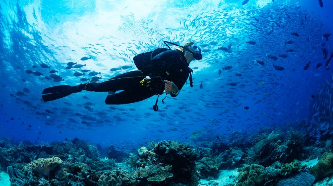 scuba-dive-7000-foot-deep-wall-grand-turk-caribbean