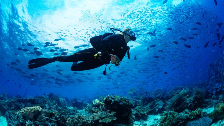 scuba-dive-7000-foot-deep-wall-grand-turk-caribbean