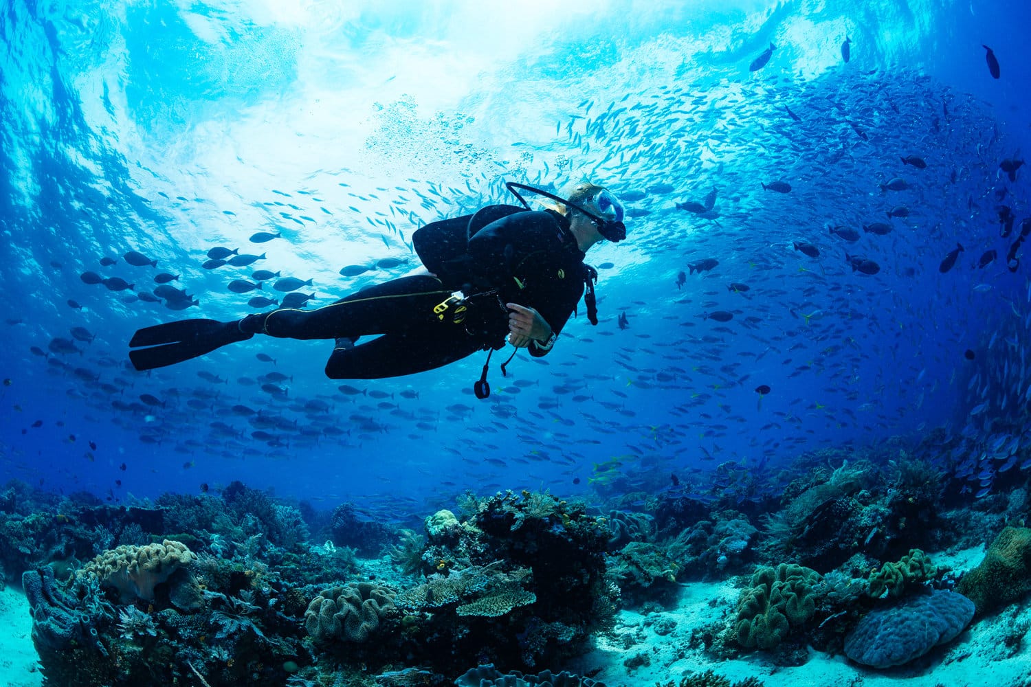 Dive Through a 7,000-Foot Underwater Wall in the Turks & Caicos