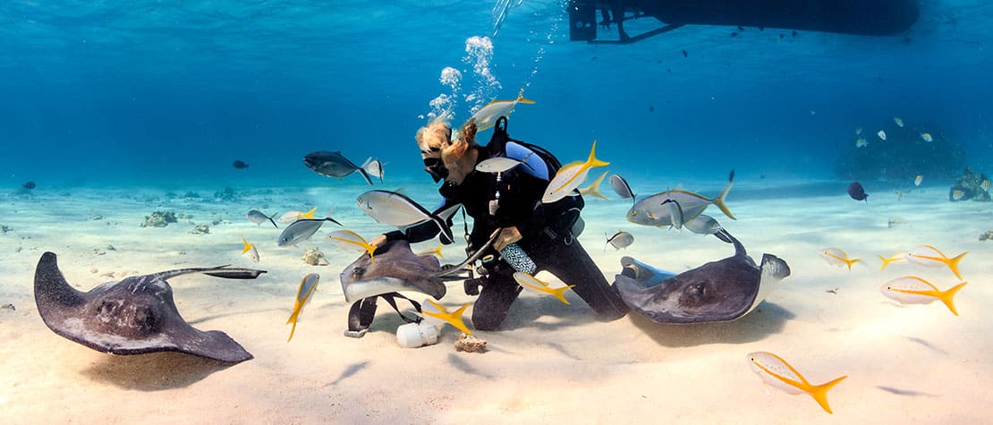 Stingray City