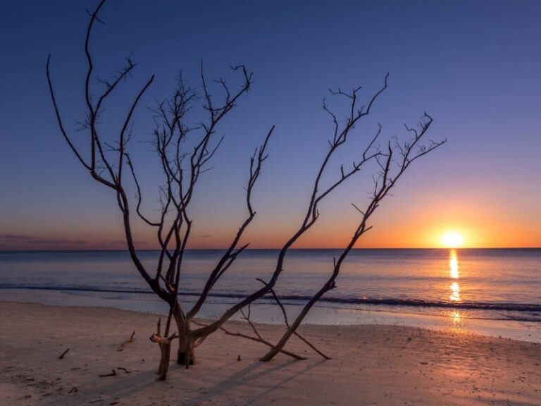 beach-sunset-ocean-water