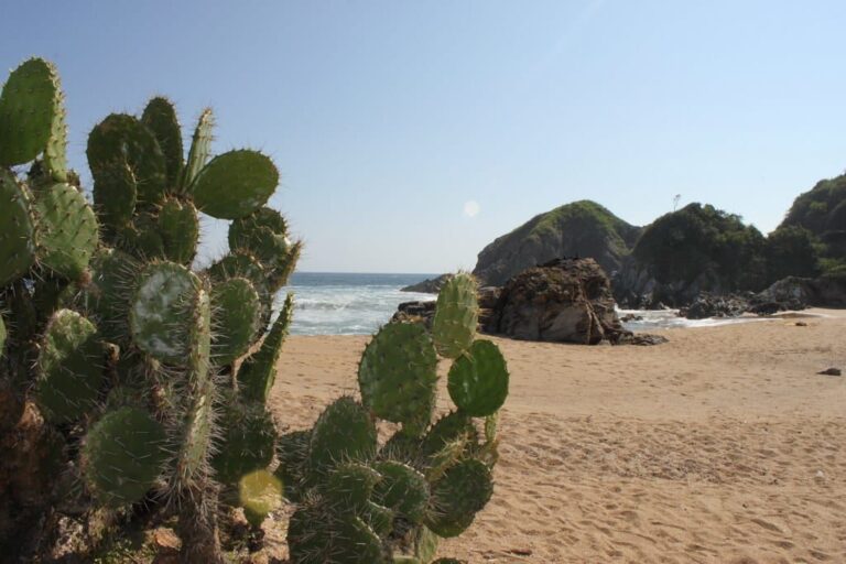 nudist-beach-playa-ziplote-oaxaca-mexico