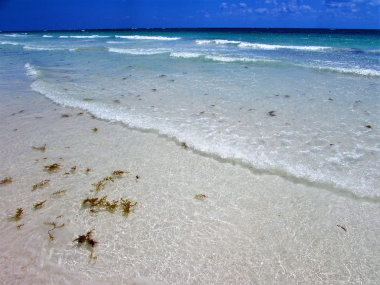 nudist beach hidden beach riviera maya mexico