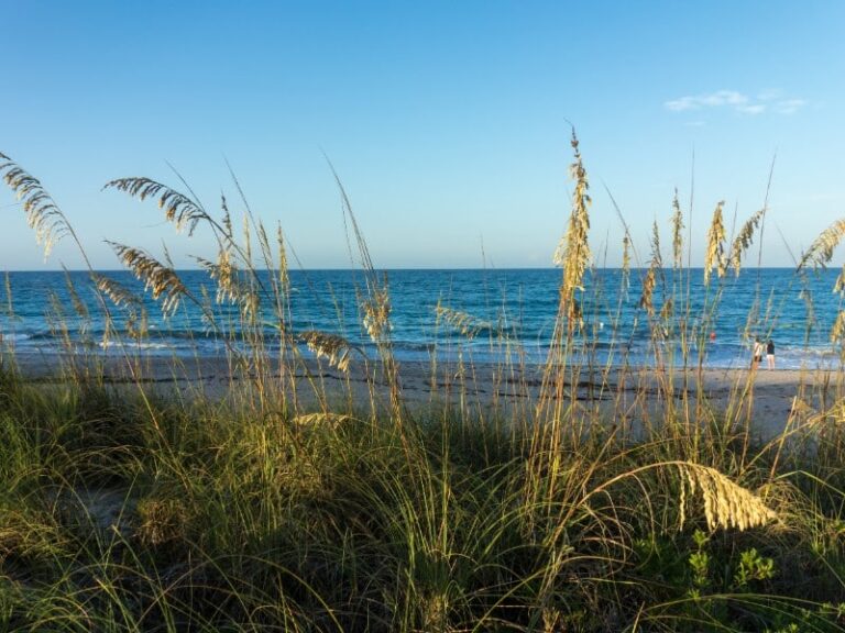 ocean-water-beach-grass