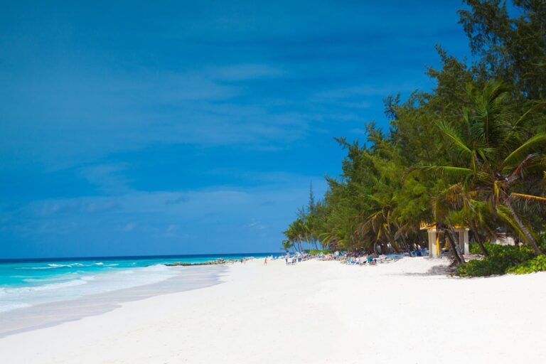 white-sand-beach-green-foliage-blue-water