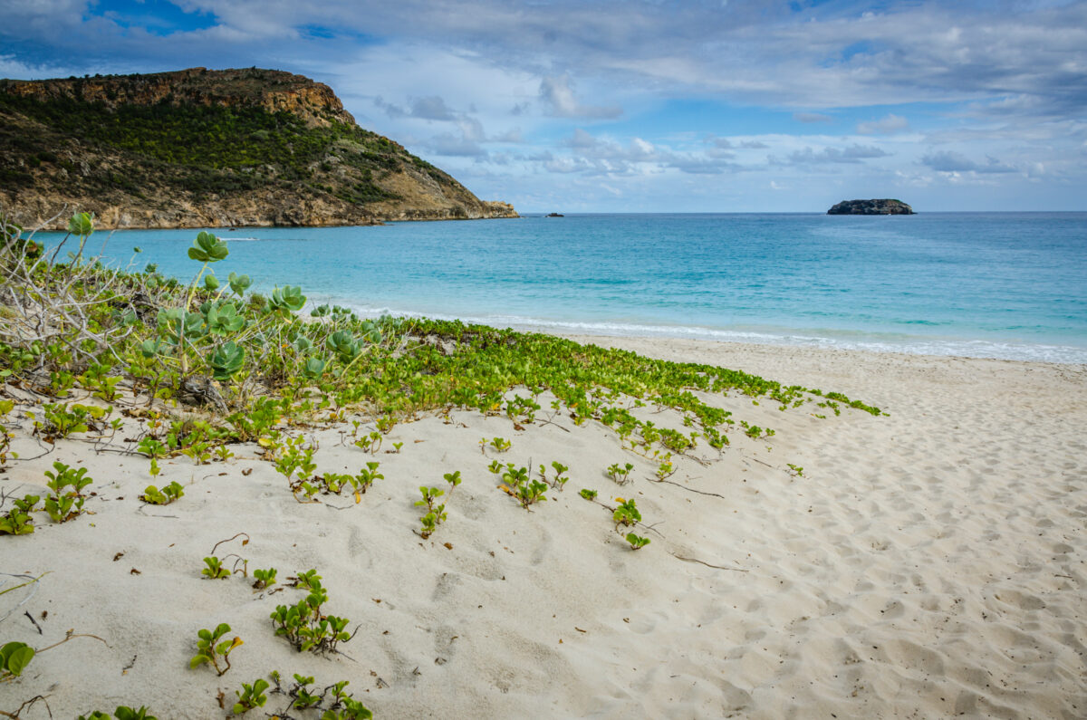 Secluded Grande Saline Beach on Saint Barthélemy with a clothing optional policy.