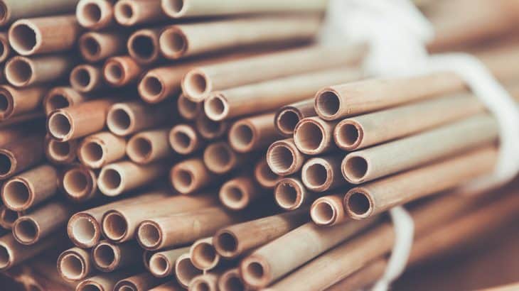 how-to-go-plastic-free-bamboo-straw