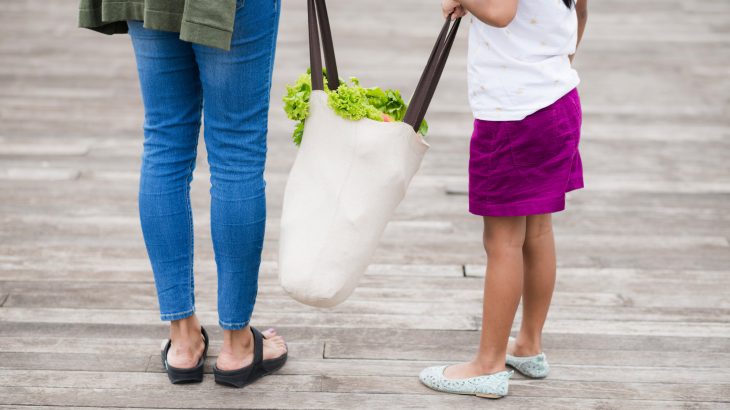 how-to-go-plastic-free-reusable-shopping-bag