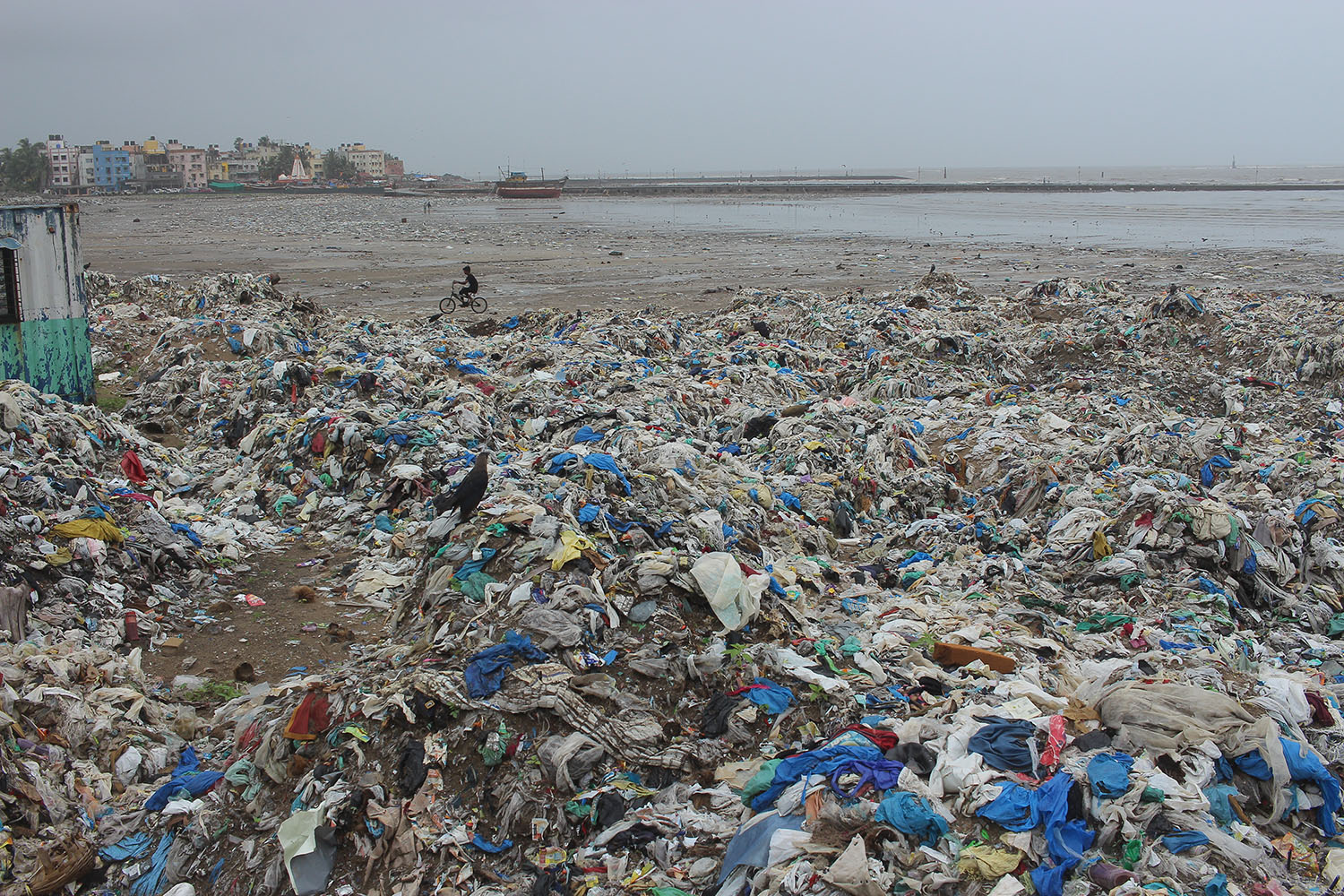 Trash ridden beach in Mumbai