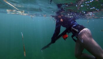 female-spearfishing-florida-gulf-the-dive-source-savage-spearfishing