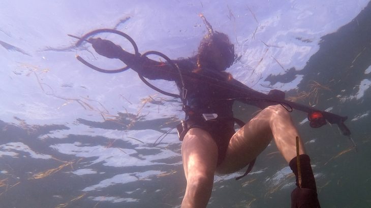 Experience Spearfishing in Florida With The Dive Source