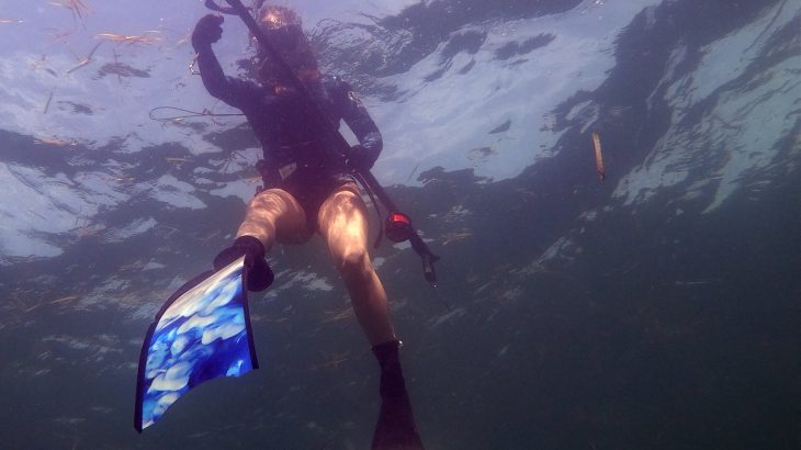 female-spearfishing-florida-gulf-the-dive-source-savage-spearfishing