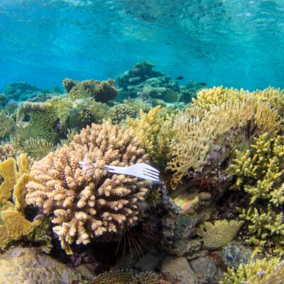 15 Horrific Facts About Plastic Pollution in the Ocean