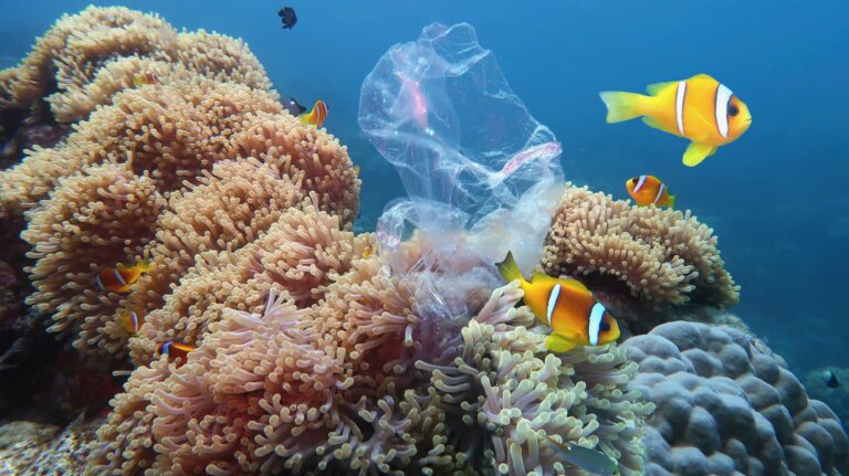 scary-facts-plastic-pollution-outweighing-fish