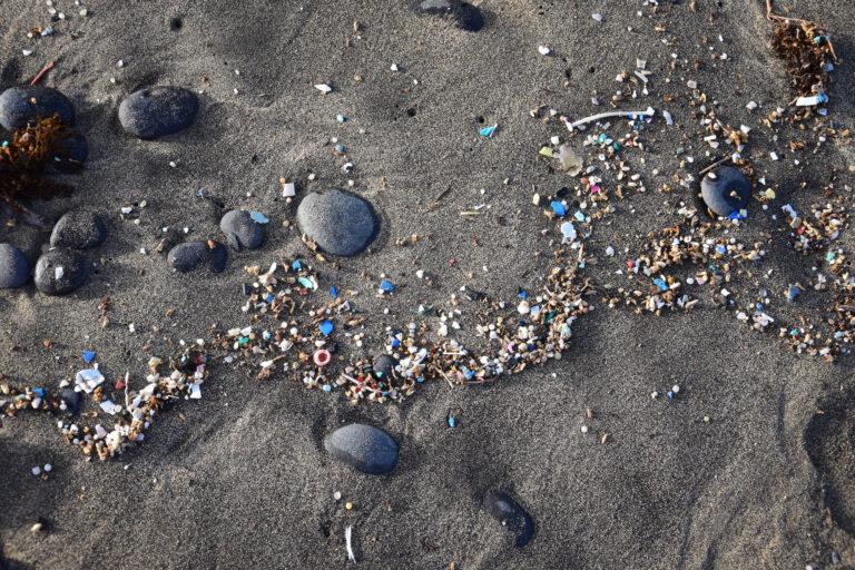 scary-facts-plastic-pollution