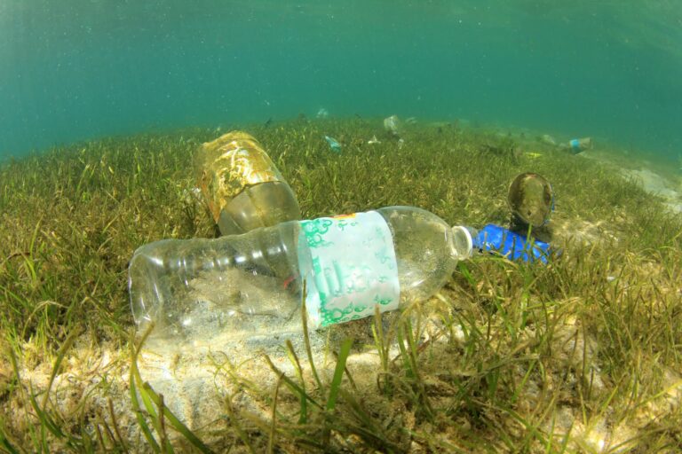 scary-facts-plastic-pollution-bottles-ocean-floor