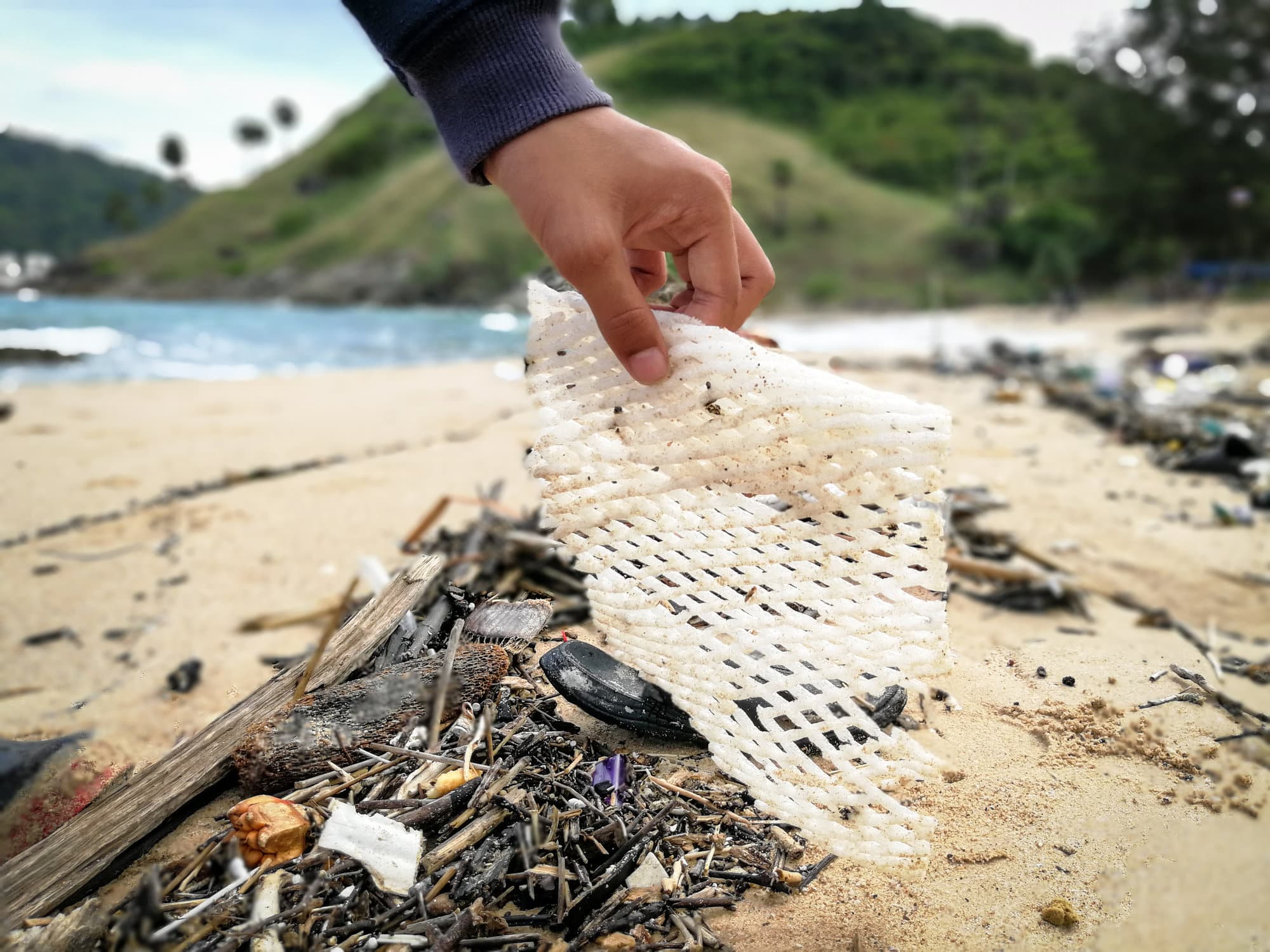 Do Beach Cleanups Actually Make a Difference?