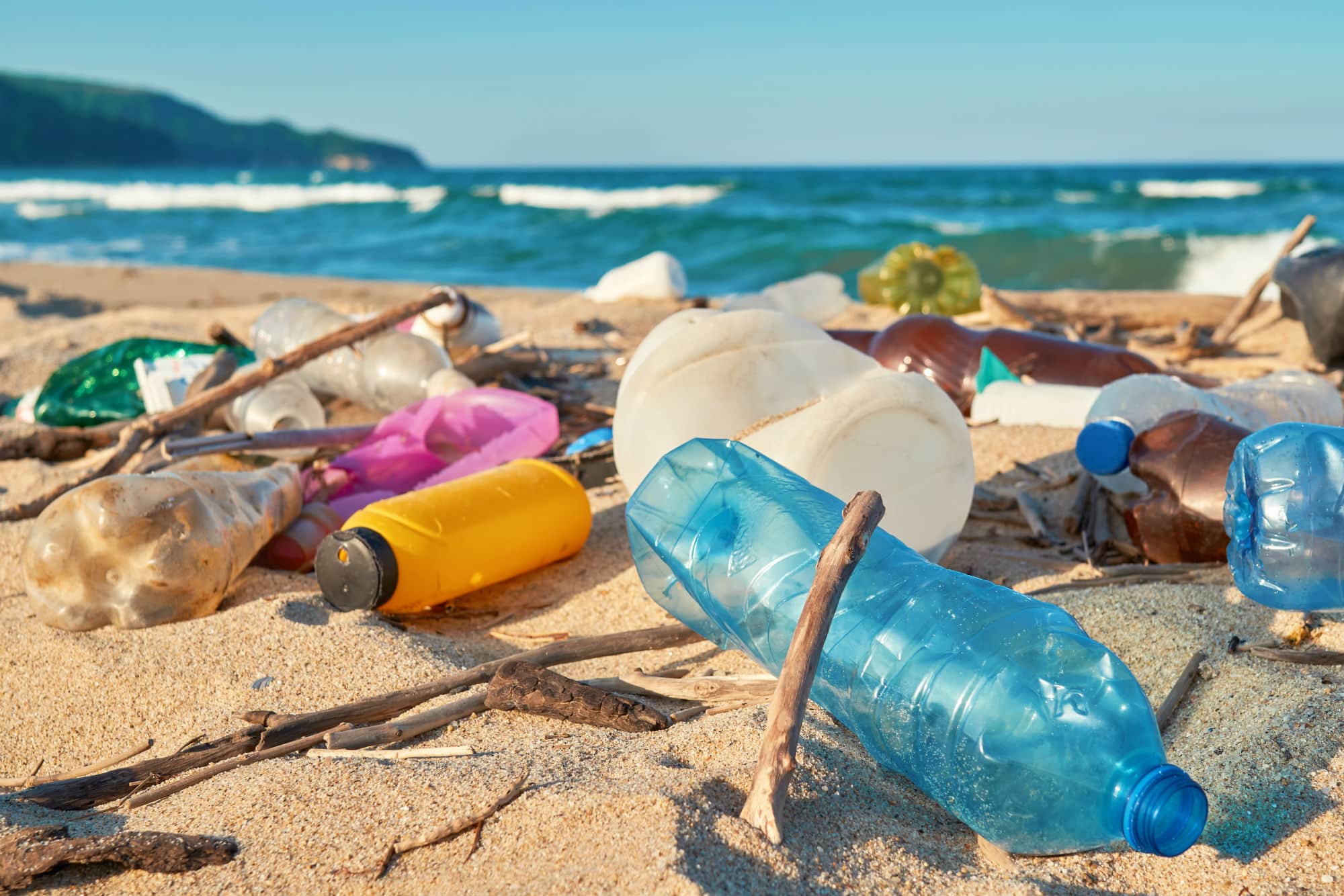 Beach Cleanups