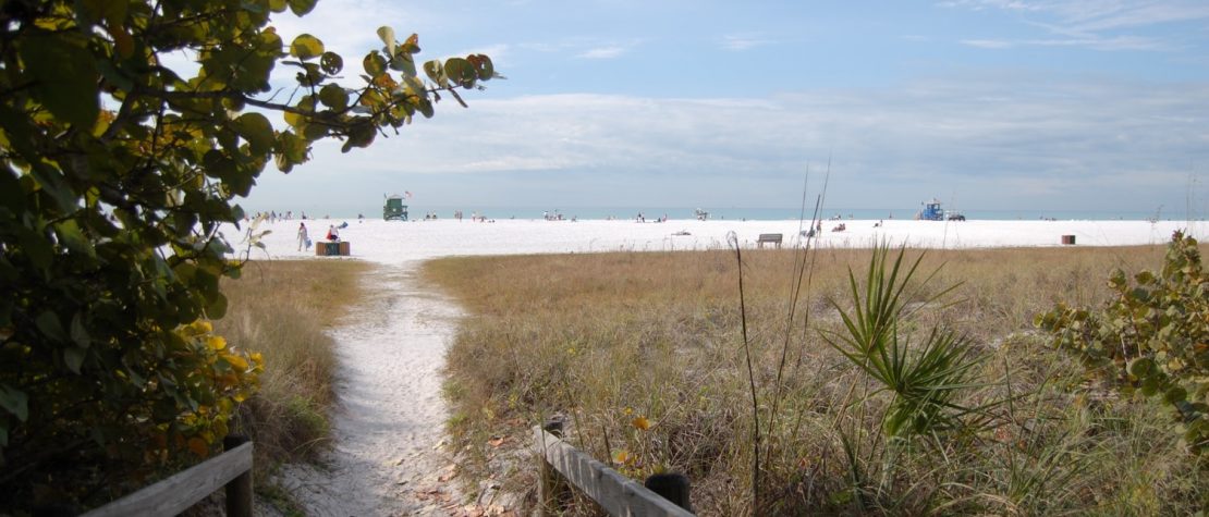 Walk way down to Siesta Key Beach with sand dunes and sea grass on either side