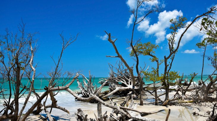 beaches near sarasota fl beer can island longboat key