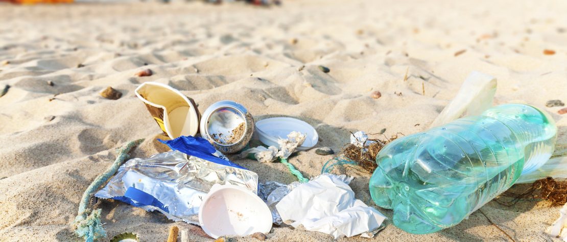 host a beach cleanup trash on sand