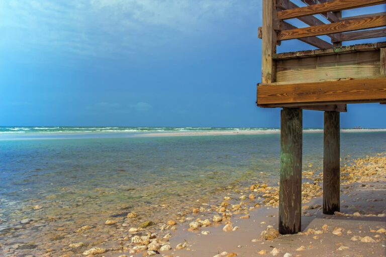 honeymoon-island-state-park-dog-beach